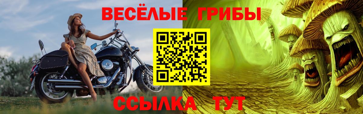 Тольятти  Псилоцибиновые грибы прущие грибы  Вход с VPN  Псилоцибиновые грибы Magic Shrooms 